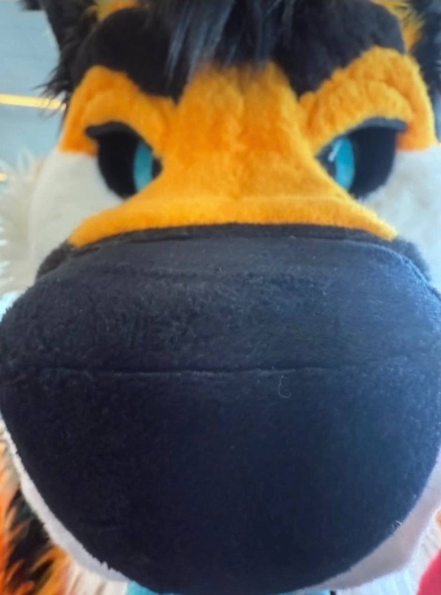 Shep🖌🐾 tweet media