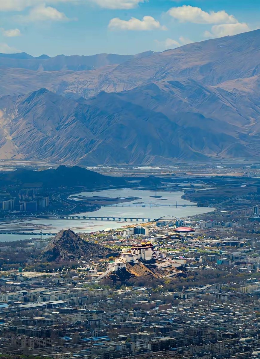 Shanliren tweet media