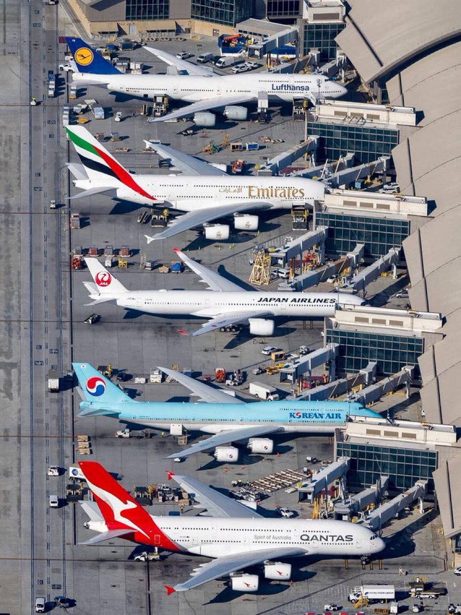 Almaisback 🇳🇵 tweet media