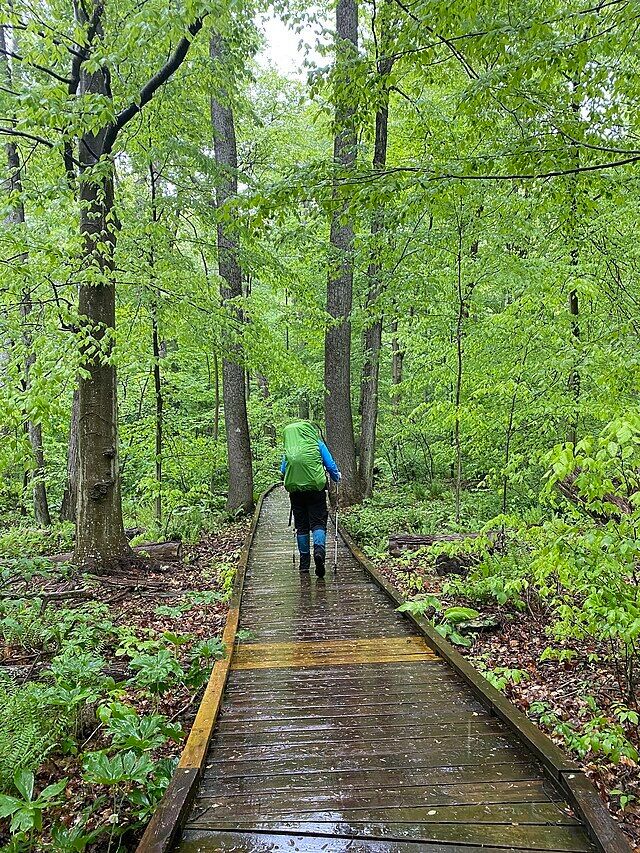 Baltimore's Child tweet media