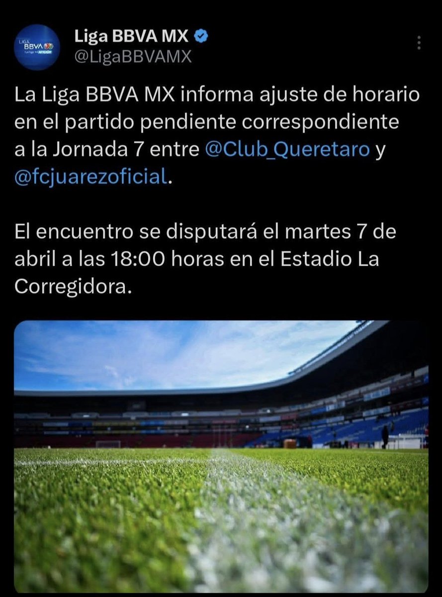 GallosTV tweet media