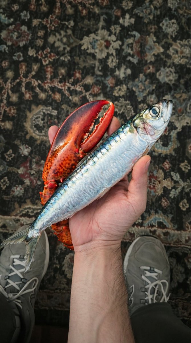 ☀️👑 tweet media