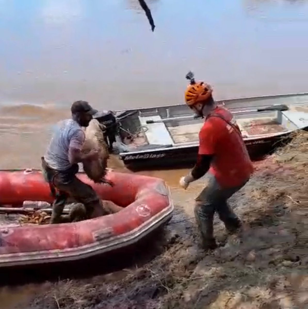 José Cano tweet media