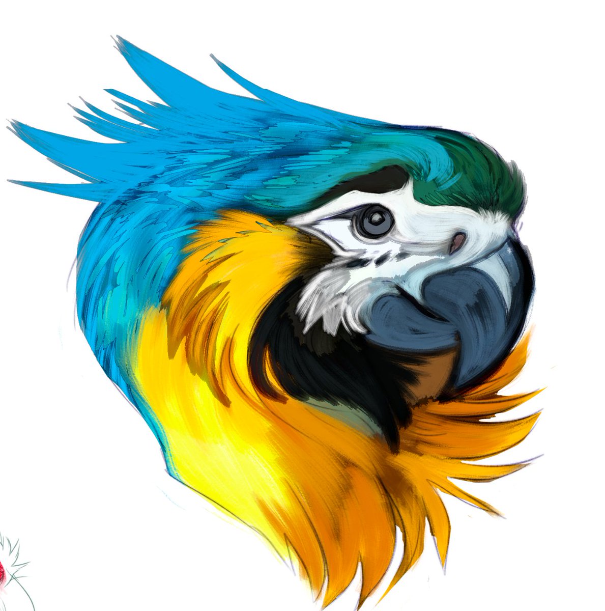 ℜ𝔢𝔶𝔡𝔢𝔤𝔬𝔯 ᚱᚷᚫ tweet media