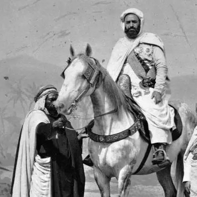 The News tweet media