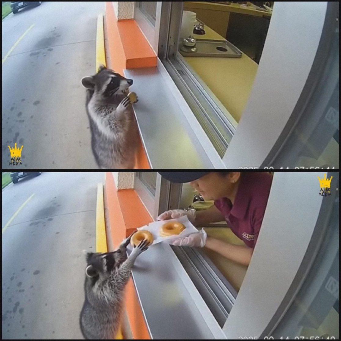 CRYPTUGA tweet media