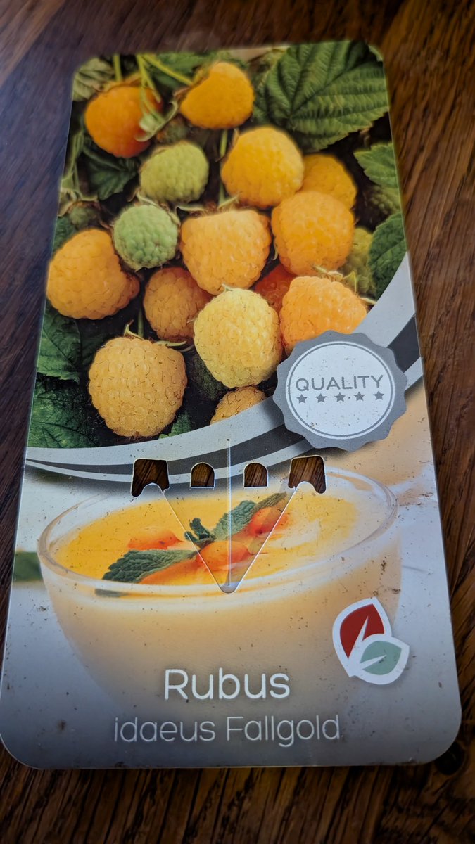 smeerling-antiek tweet media