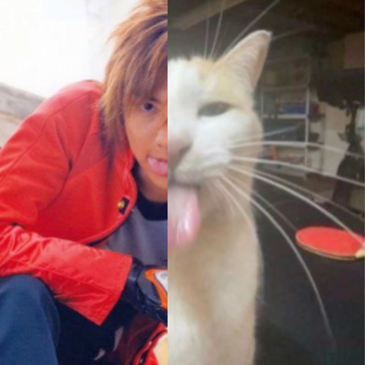 Wolfie🪷 | Nasuka's Wife tweet media