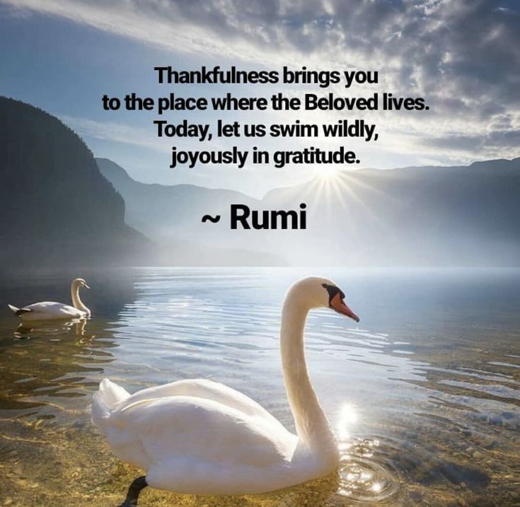 SPIRITUALITY tweet media