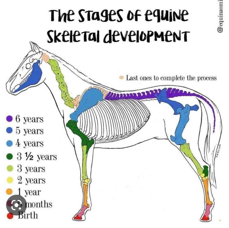 Yvonne Hooper tweet media