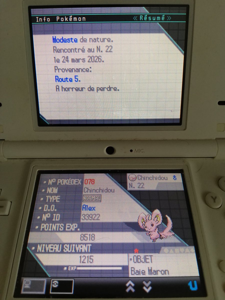 21029 rencontres pour un Chinchidou! C'est ma première phase pour Nucléos dans les herbes sombres de la route 5 sur Blanc ! Après le Scrutella rapide et eu sans phase sur Noir, ça me va ! (puis la zone est bien ça aide)✨