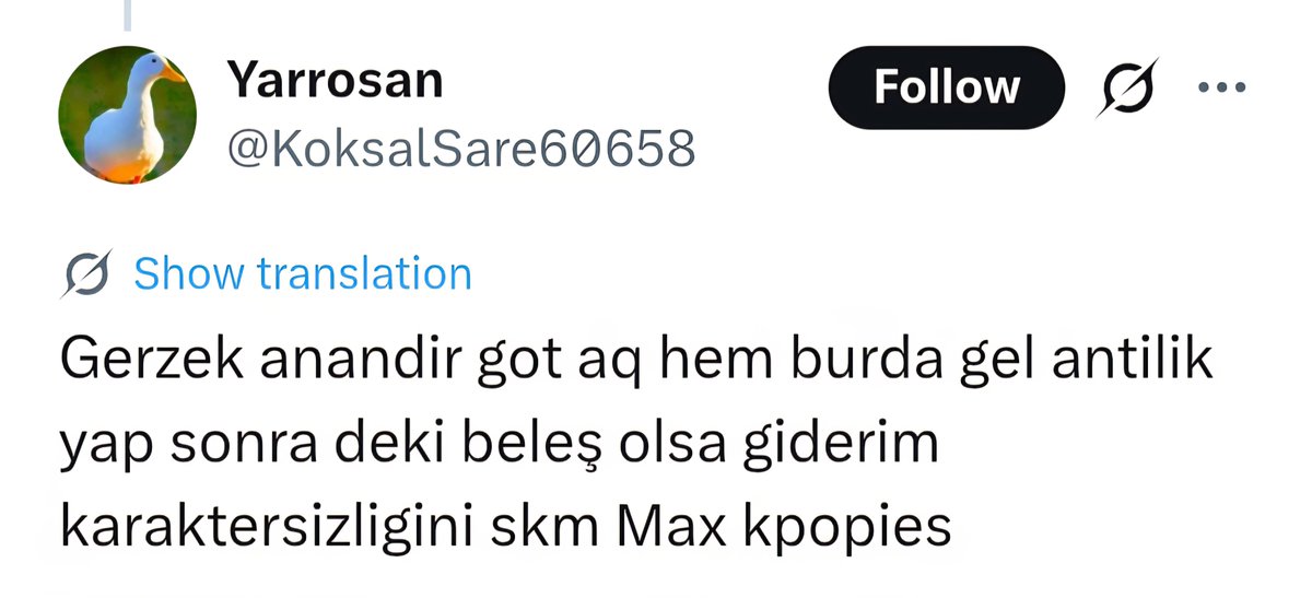 elfwlf🇹🇷🪩🐆 tweet media