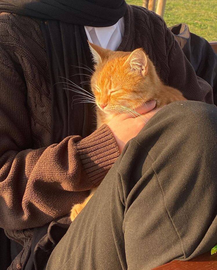 hayat AlRohh tweet media