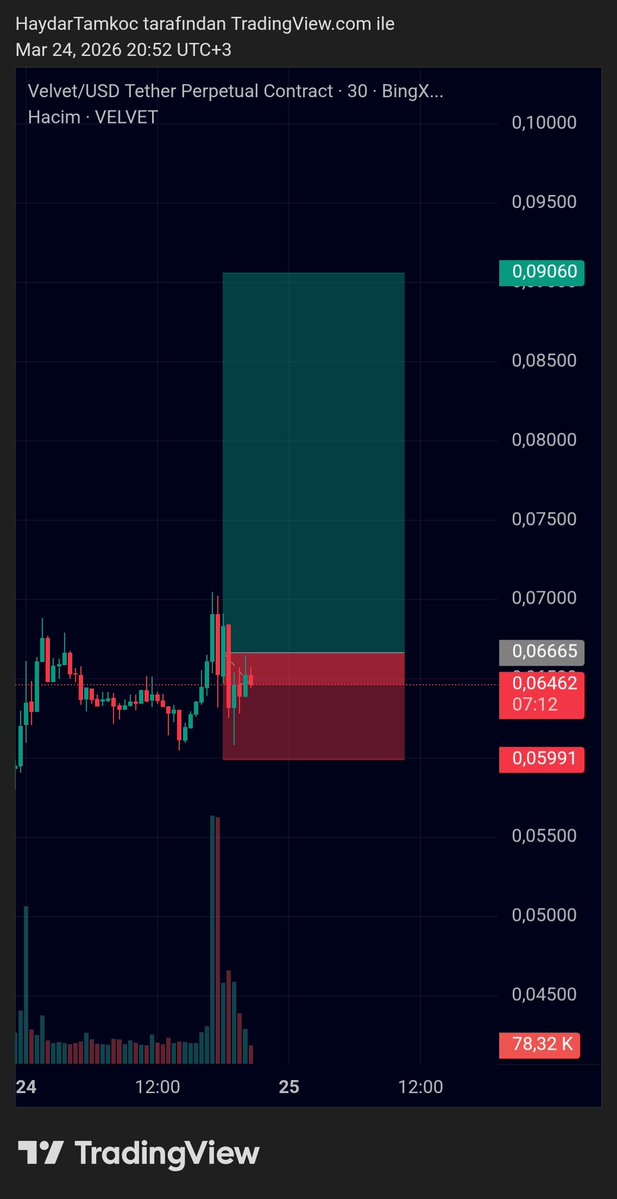 Haydar Tamkoç tweet media