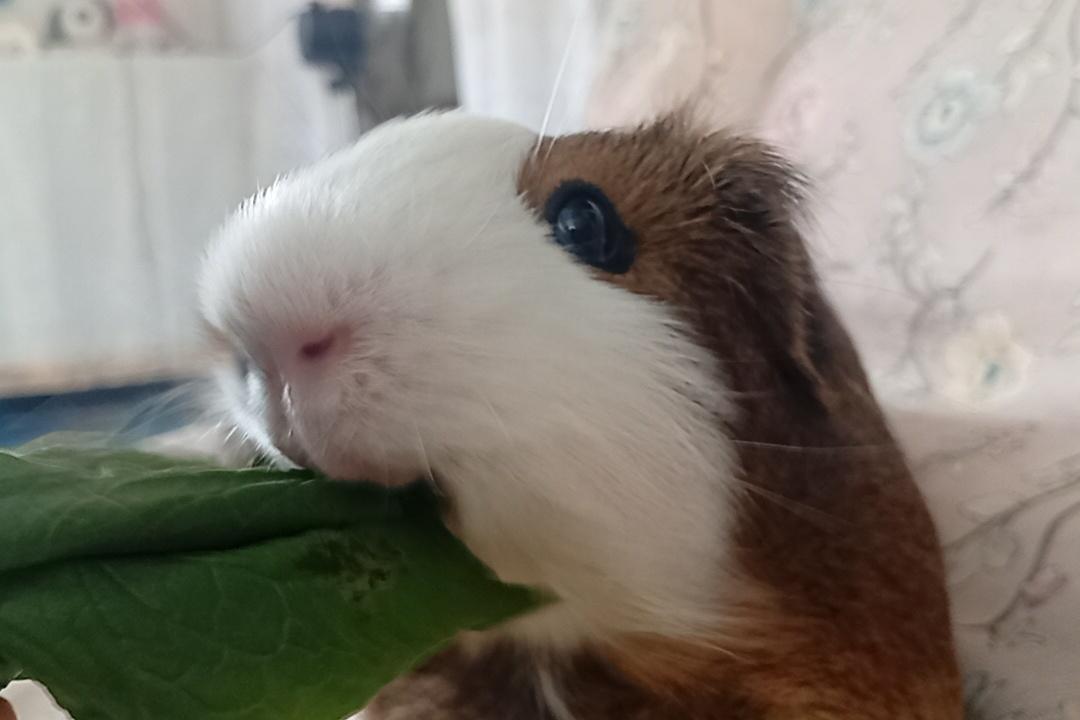 Cassy ≧ᴗ≦ tweet media