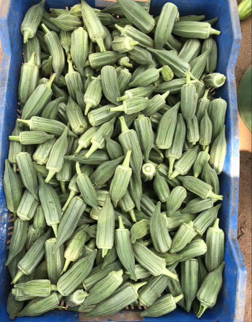 MOSHOOD SALAM tweet media