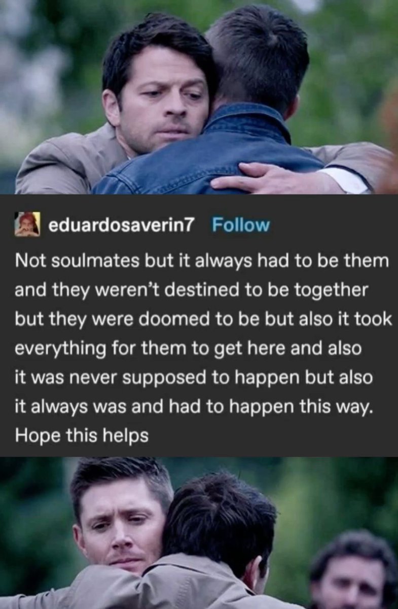 soph 🪽🐿️ | spntoronto tweet media