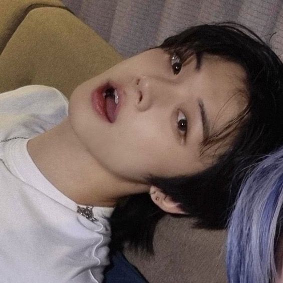 ً🐈⬛ tweet media