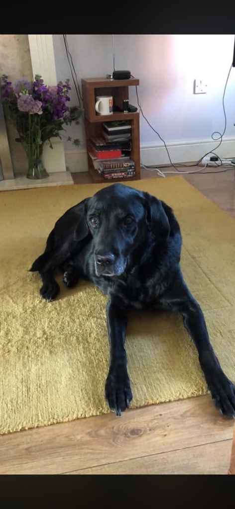 The Phoenix tweet media