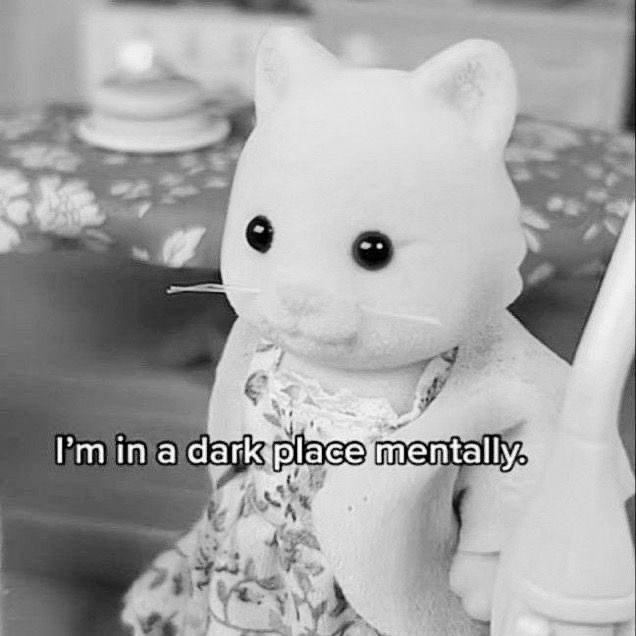 FILMEIRA NOELLA. tweet media