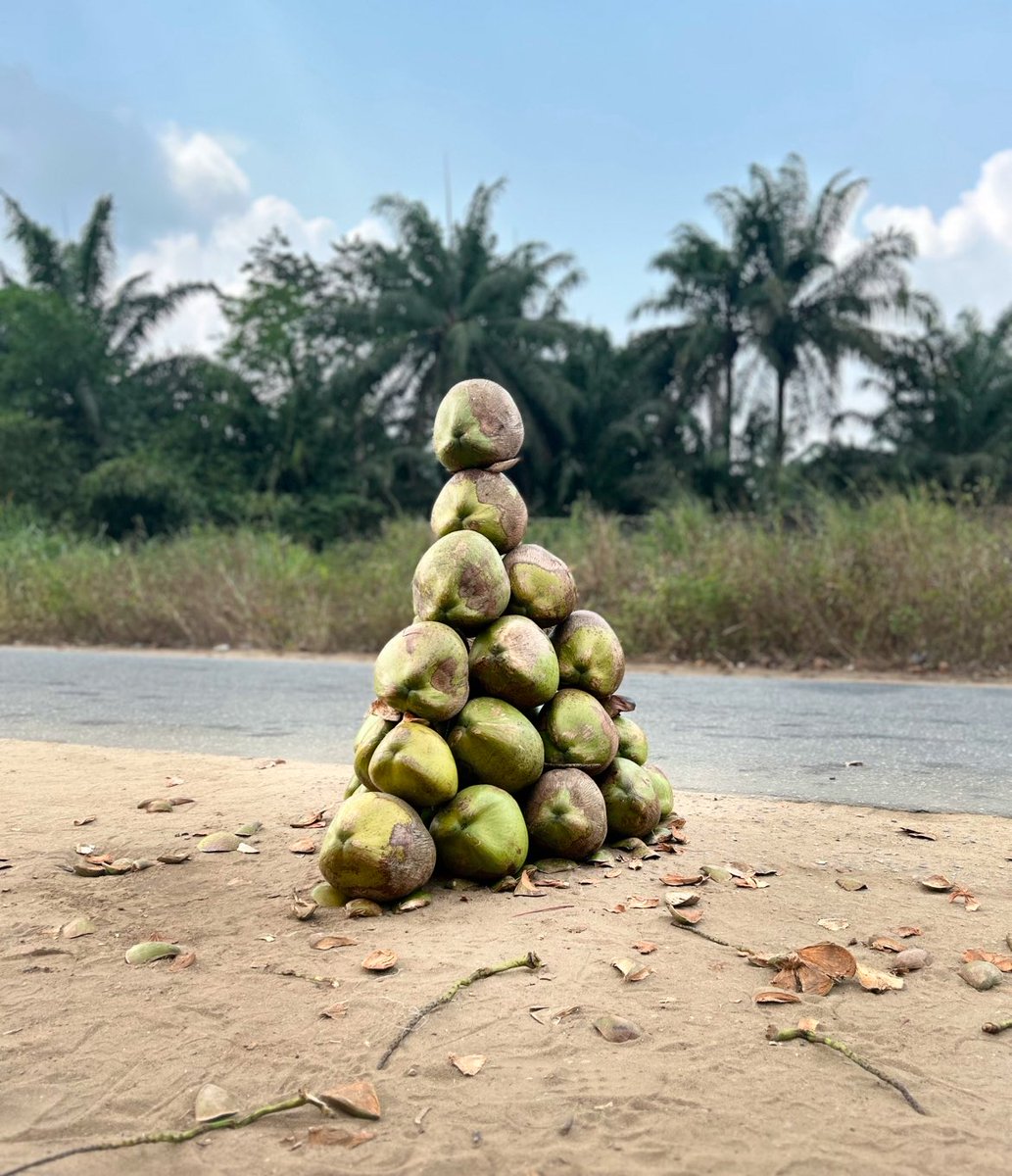 Ufot Ubon tweet media