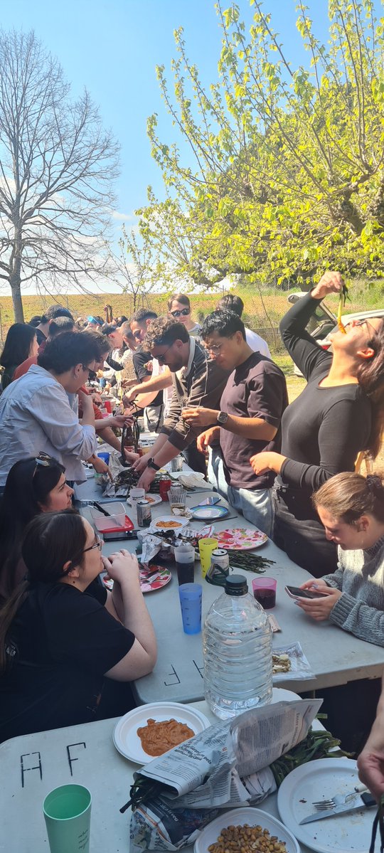 DiMoCaT_IQCC tweet media