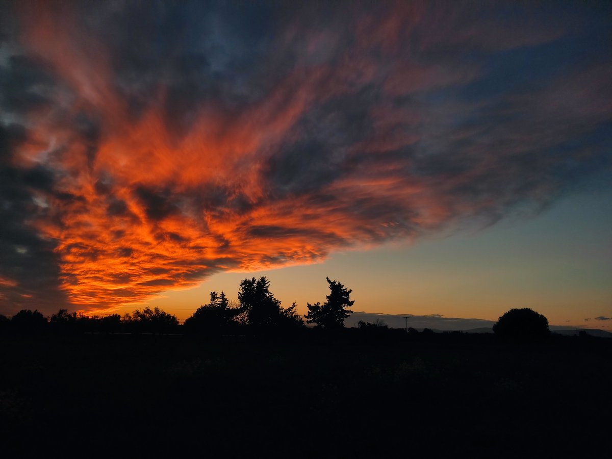 Dusk Lens tweet media