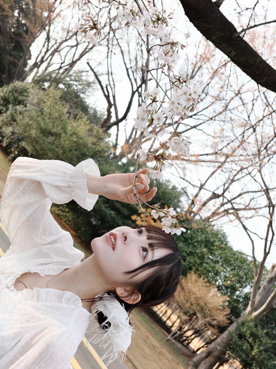 楠ろあ 【THE ORCHESTRA TOKYO】 tweet media