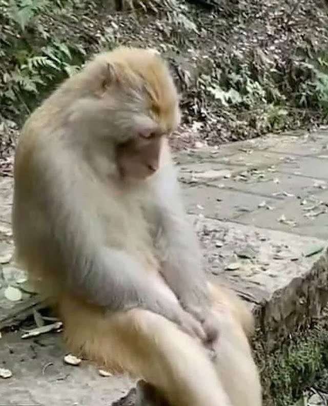 TimoM  tweet media