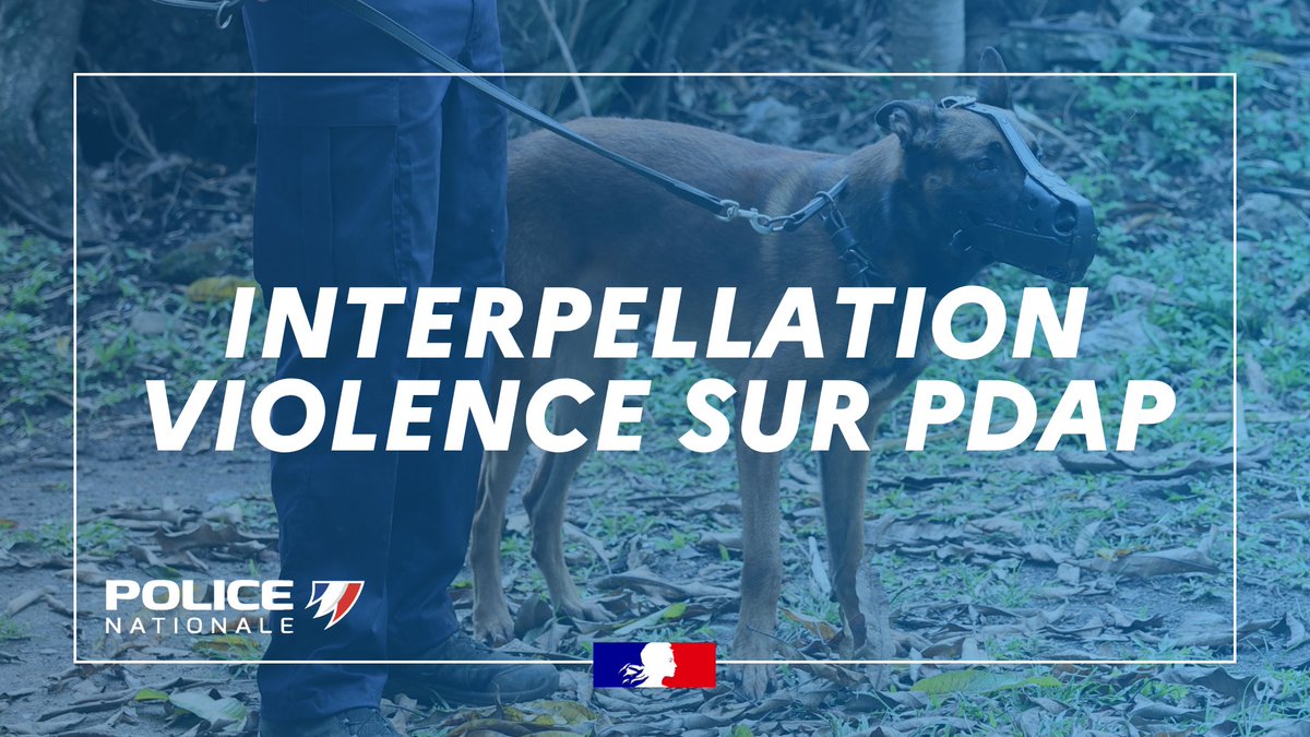 Police Nationale 973 tweet media