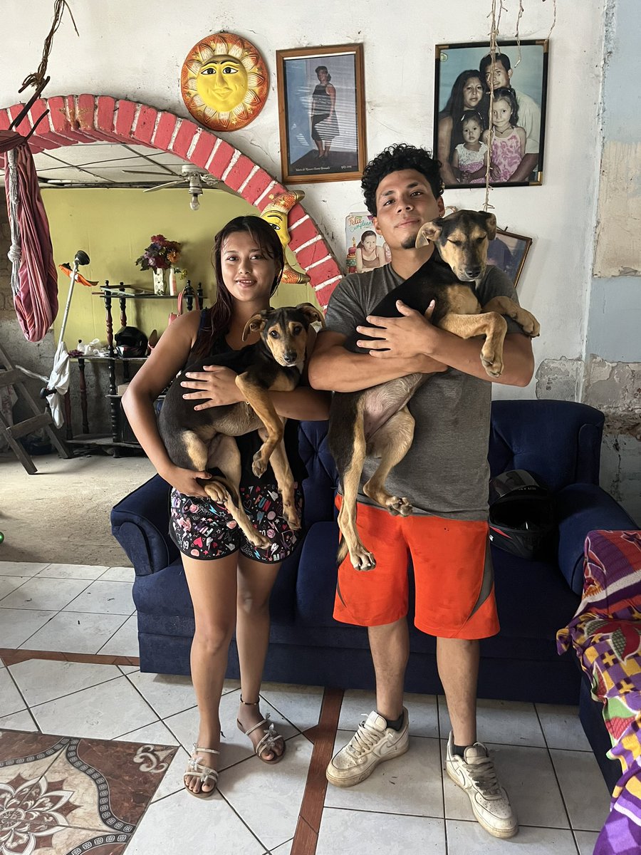 Chata💕🐾🐼 tweet media