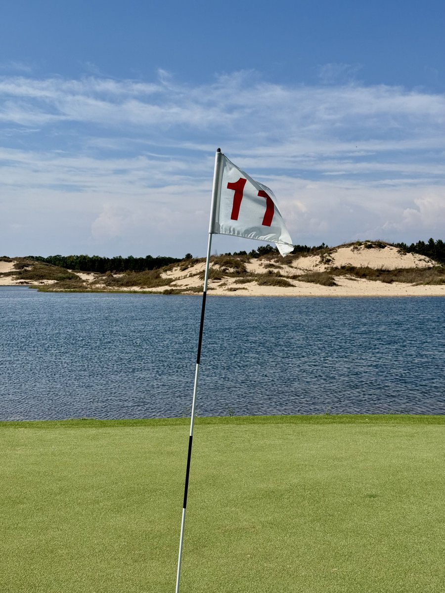 BestBall tweet media