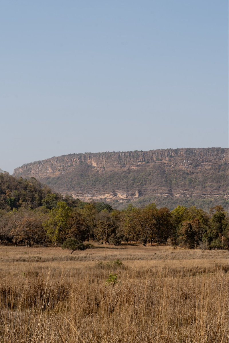 Ed Morris tweet media