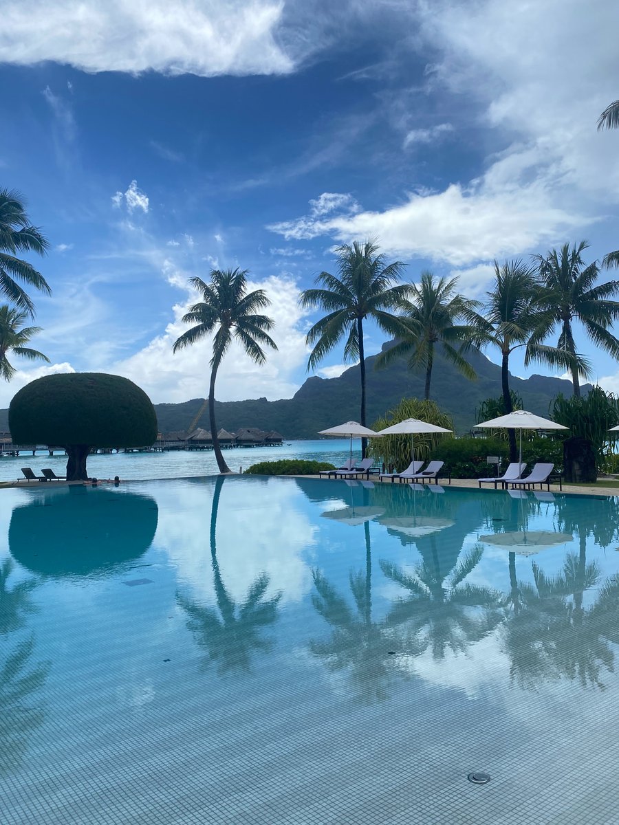 World Best tweet media