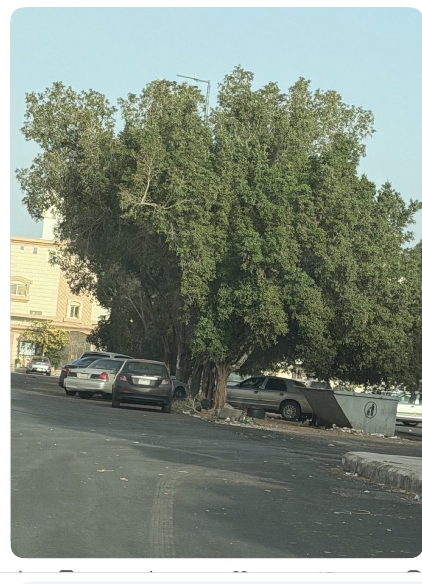 Abu Faisail tweet media