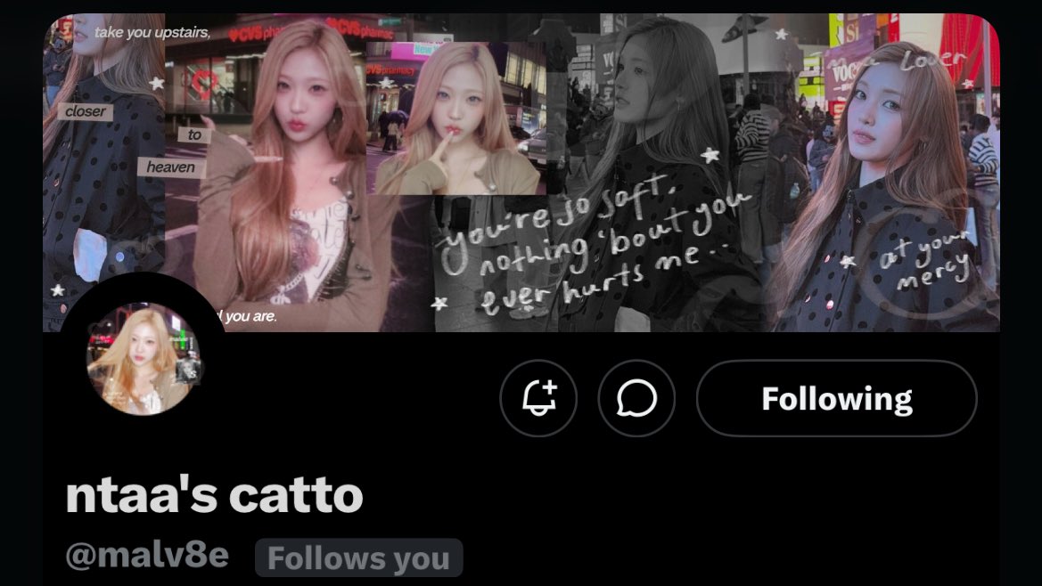 catto’s ntaa tweet media