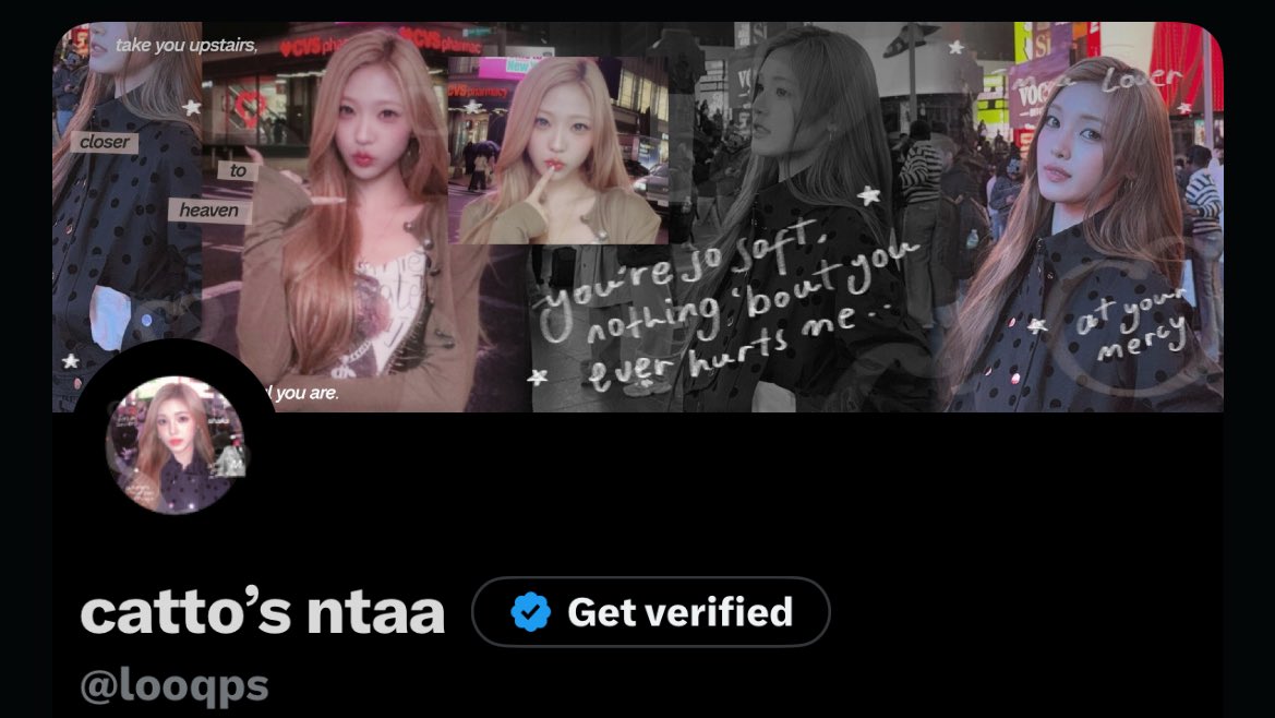 catto’s ntaa tweet media