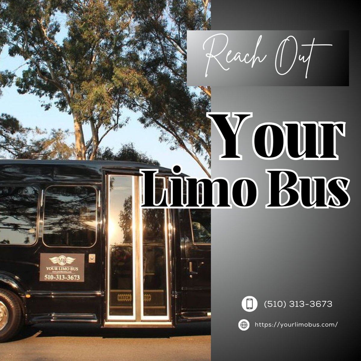 Your Limo Bus (@YourLimoBus) / Posts / X