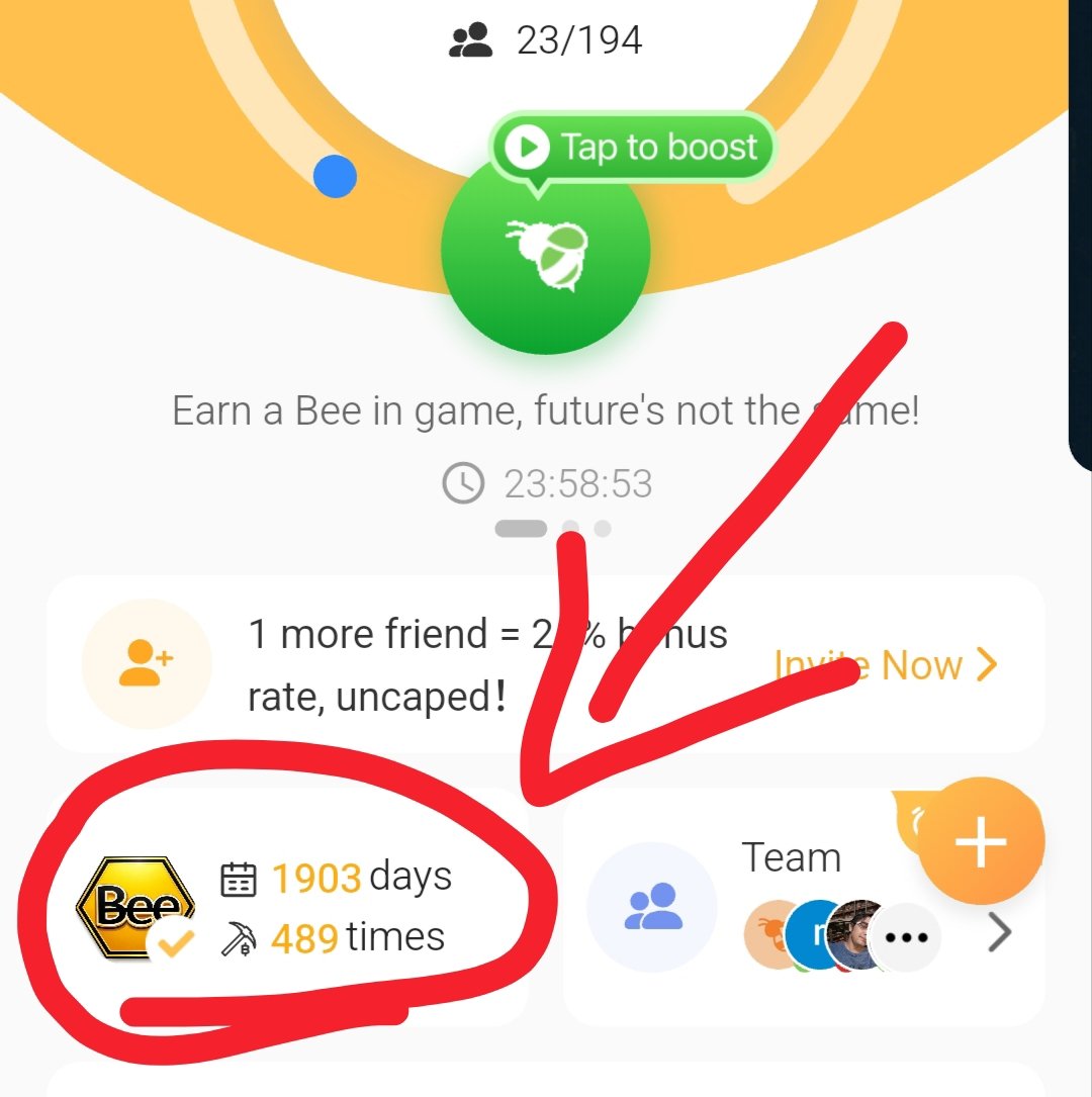 BEE Network Mining 💛 tweet media