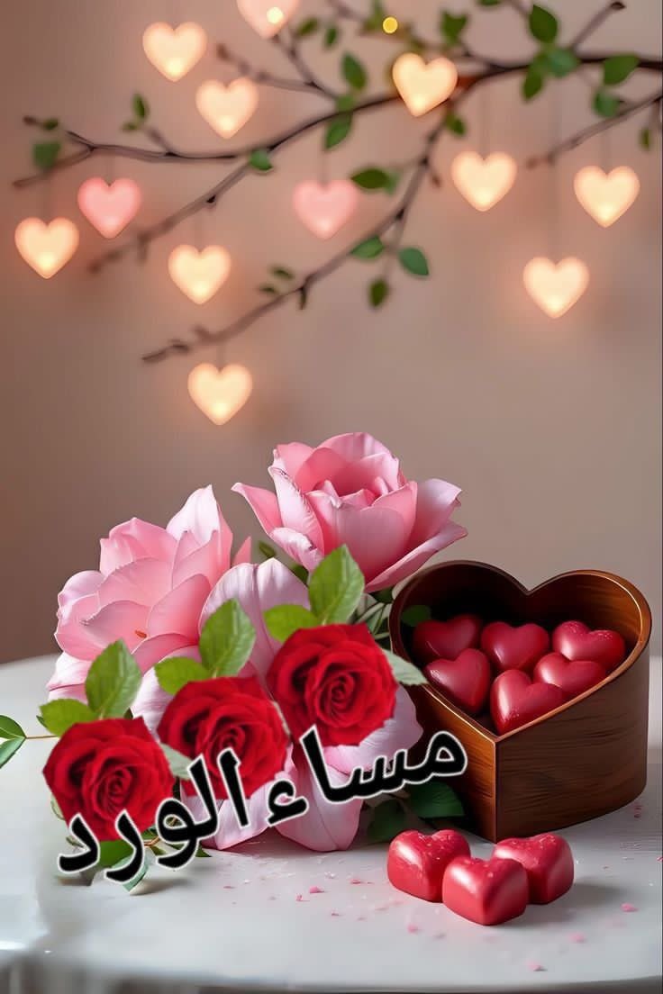 ( الخالدي ) tweet media