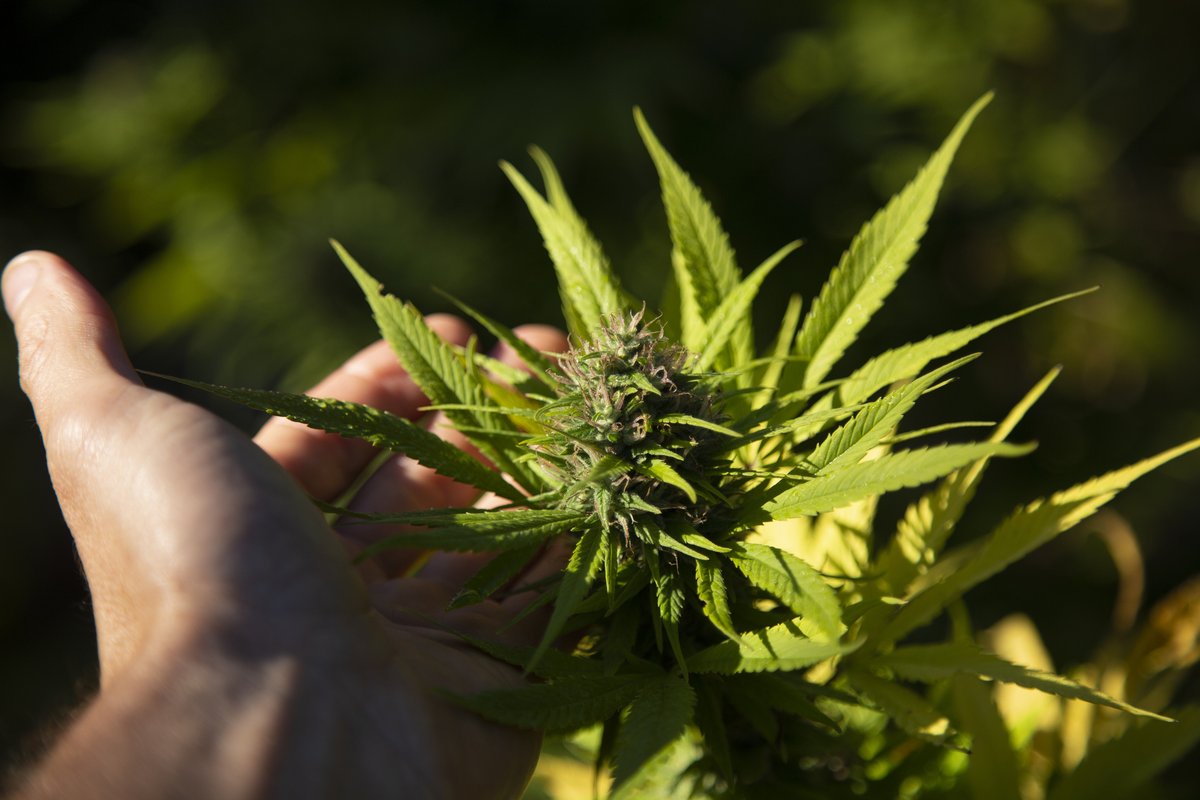 News 4 San Antonio tweet media