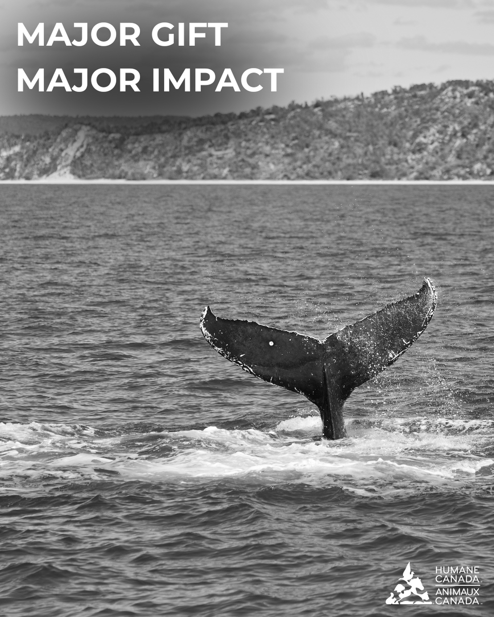 Humane Canada tweet media