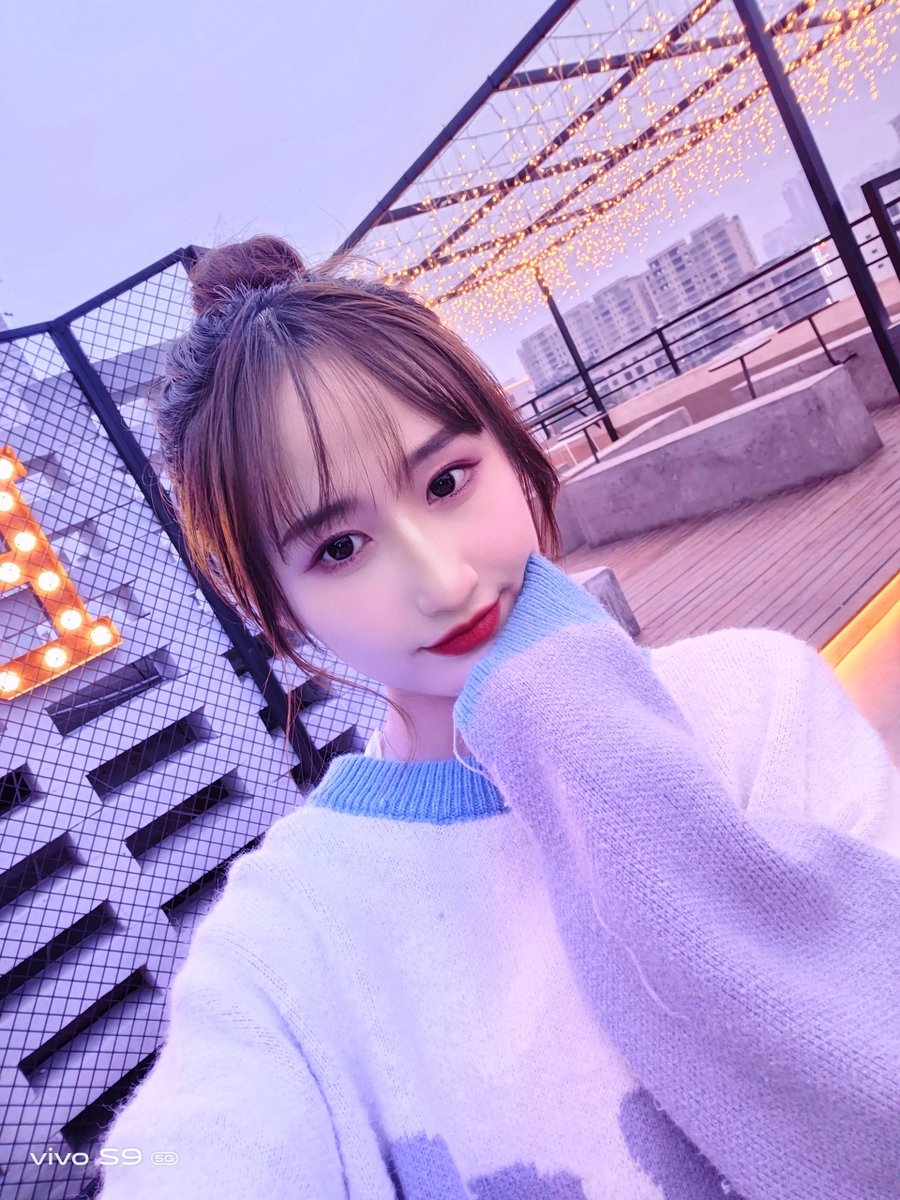 sandra toscano tweet media