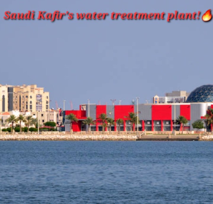 Moazzemul Haque tweet media