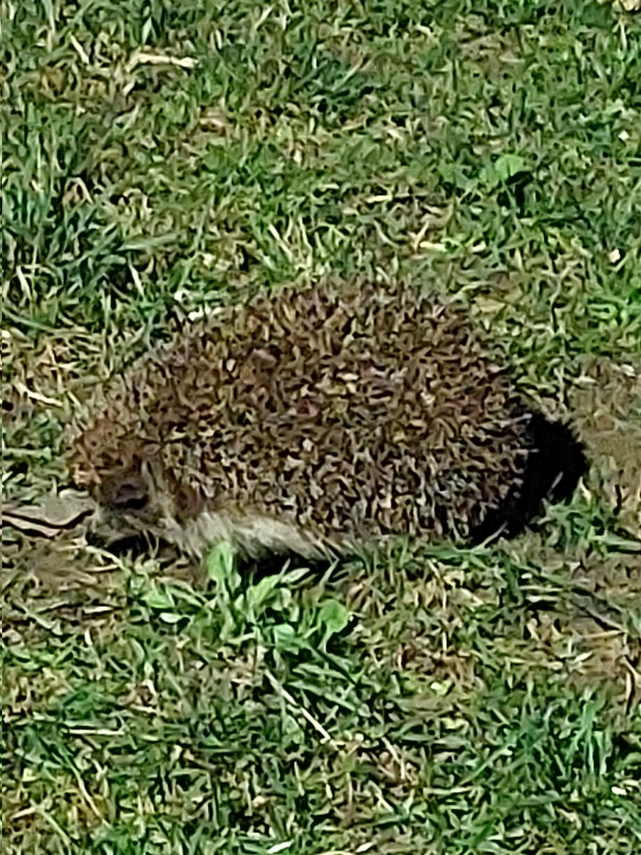 Winny🌻 tweet media