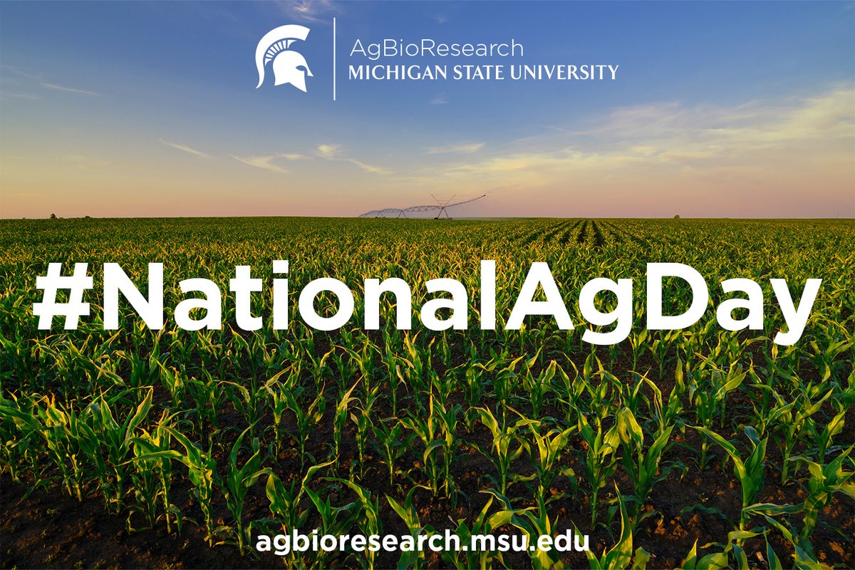 MSU AgBioResearch tweet media