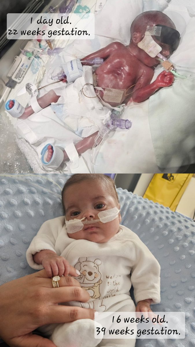 Name cannot be blank. tweet media