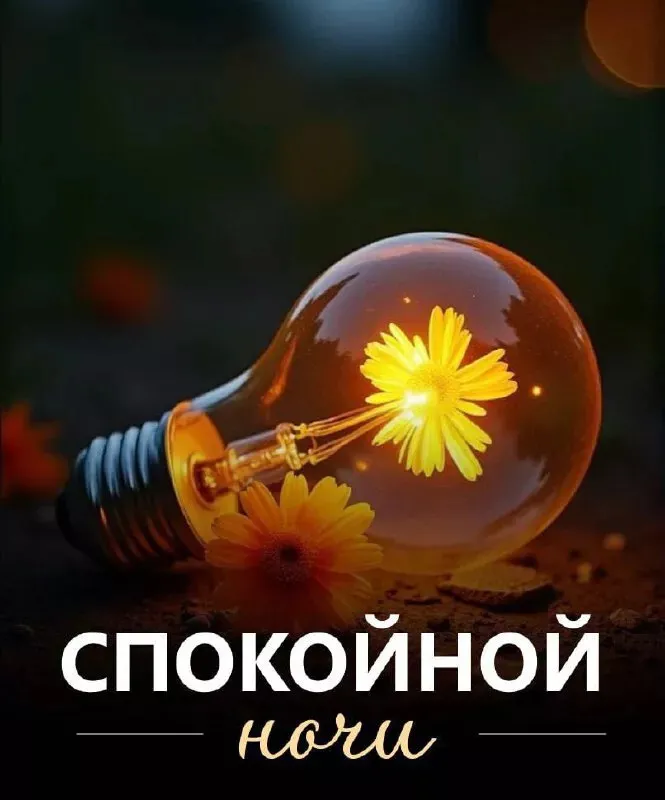 Татьяна Краузе tweet media