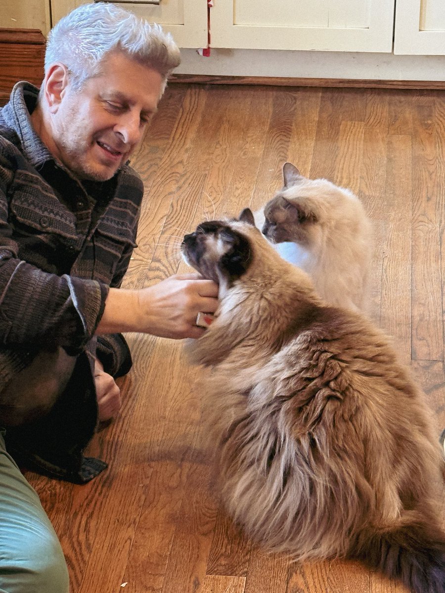 Mike Gordon tweet media