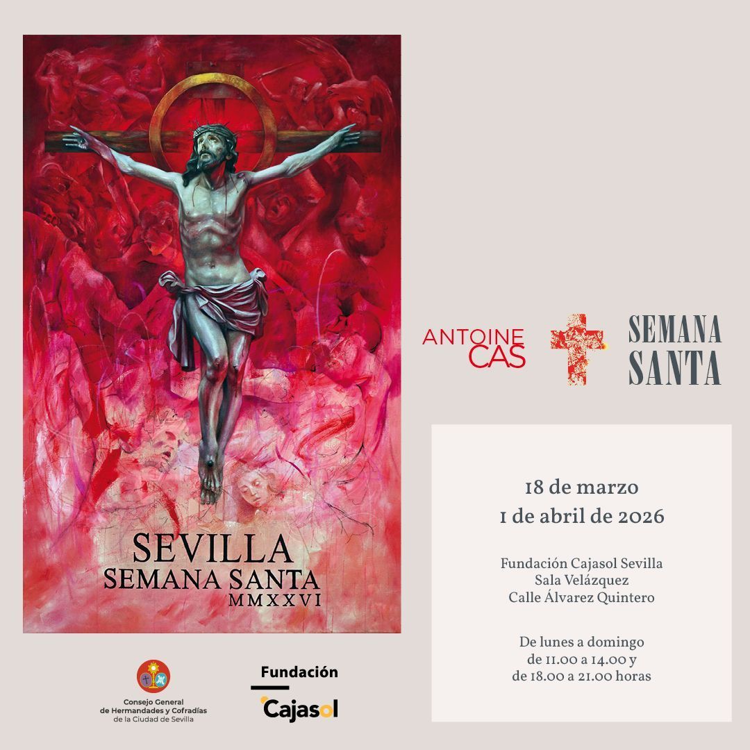 Fundación Cajasol tweet media
